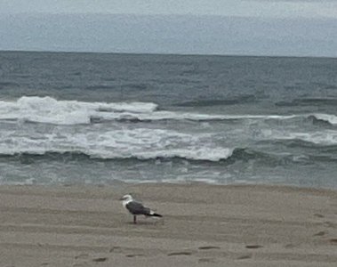 IMG_3525.jpeg