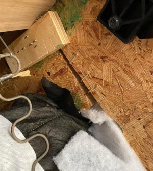 IMG_3265.jpeg