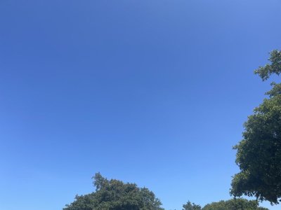 09F8960B-1322-4E59-927F-BC1A6812A180.jpeg