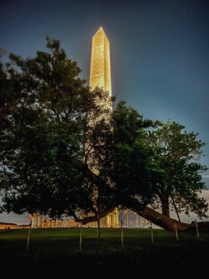 DC5.jpg