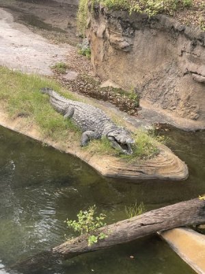 IMG_6354.jpeg