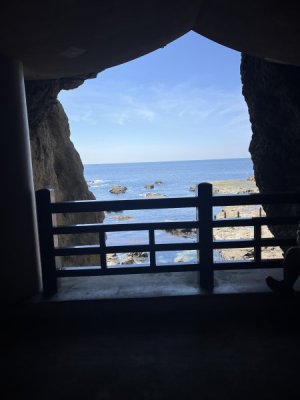 IMG_2967.jpeg