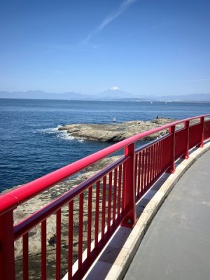 IMG_2979.jpeg