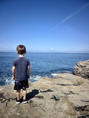IMG_2981.jpeg