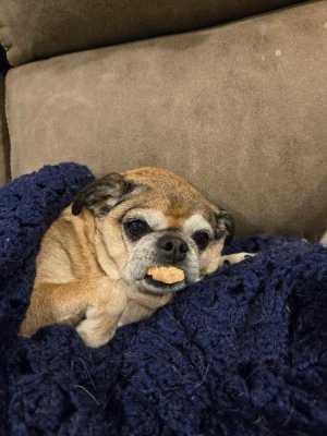thumbnail (2).jpg