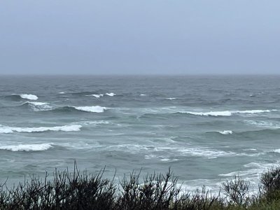 IMG_3557.jpeg