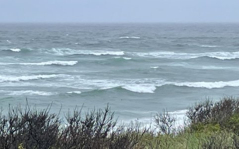 IMG_3555.jpeg