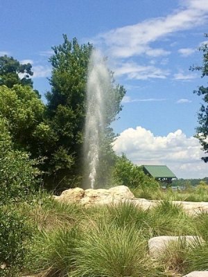 IMG_1188.jpeg