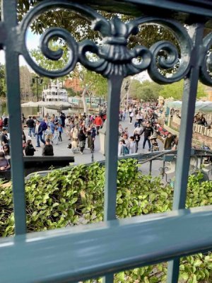 IMG_0241.jpeg
