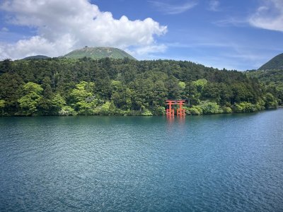 IMG_3077.jpeg