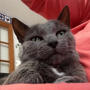 IMG_1629.jpeg