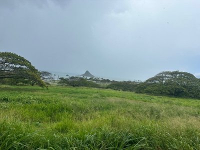 IMG_0345.jpg