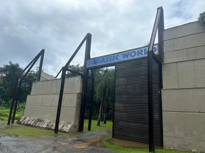 image3.jpeg