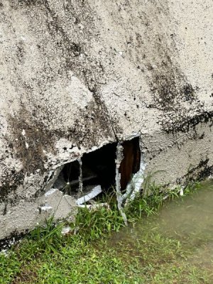 image7.jpeg