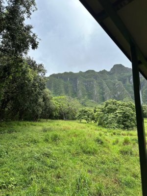 image6.jpeg