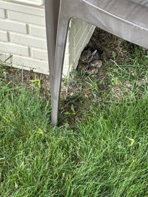 IMG_5048.jpeg