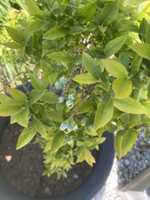 IMG_0377.jpeg