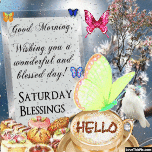IMG_3329.gif
