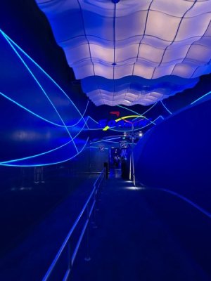 IMG_0023.jpeg