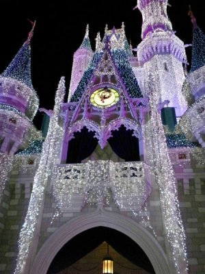 IMG_0071.jpeg