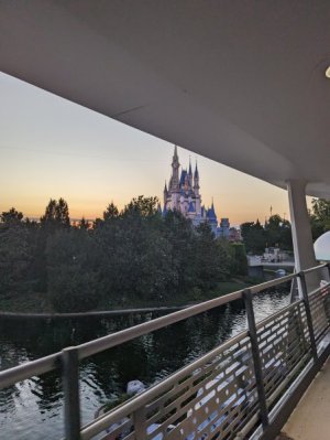 PXL_20240425_000007377.jpg