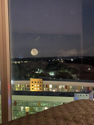 IMG_2231.jpeg