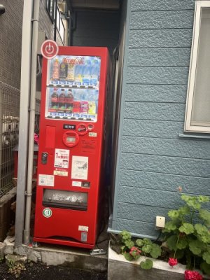 IMG_2754.jpeg