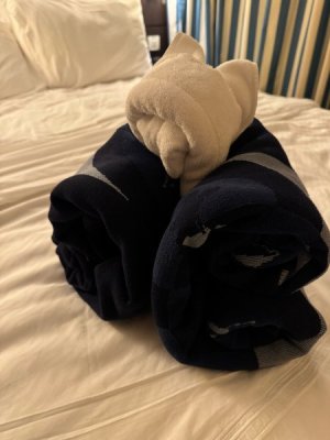 IMG_1996.jpeg