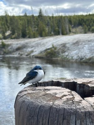 IMG_0324.jpeg
