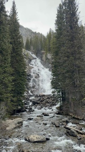IMG_9655.jpeg