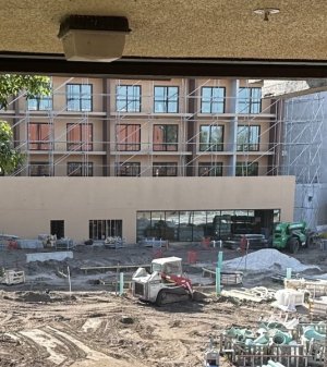 IMG_5728.jpeg