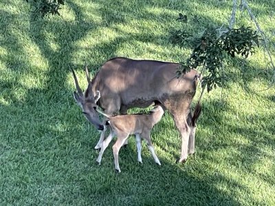 IMG_9292.jpeg