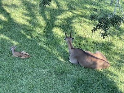 IMG_9291.jpeg