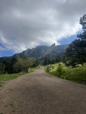 IMG_4602.jpeg