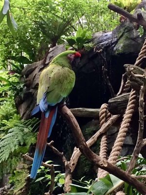 IMG_1224.jpeg