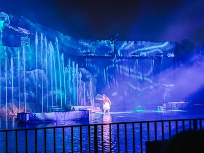 Fantasmic11.jpg