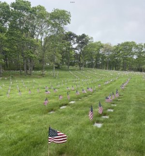 IMG_6886.jpeg