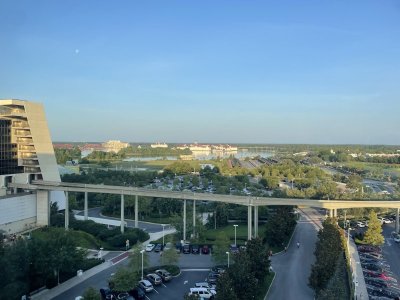 IMG_3571.jpeg