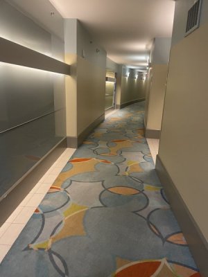 IMG_3602.jpeg