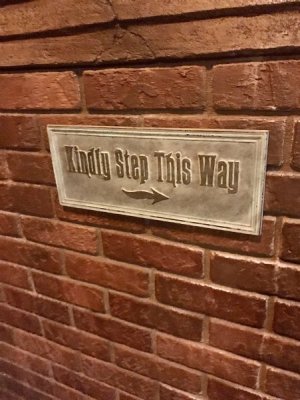 IMG_0009.jpeg