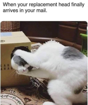 1716940407991.png