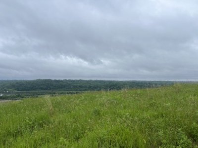 IMG_6052.jpeg