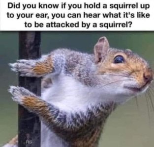 FB_IMG_1708292788976.jpg