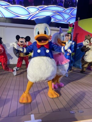 IMG_3305.jpeg