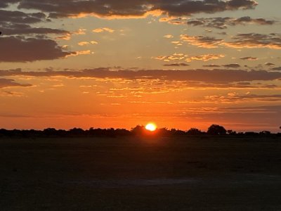 IMG_1320.jpeg