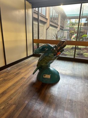 image1.jpeg