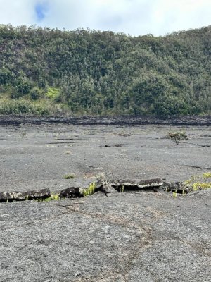 image6.jpeg