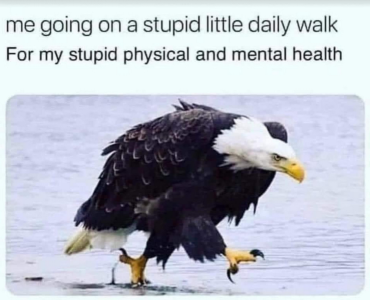 1717013701374.png