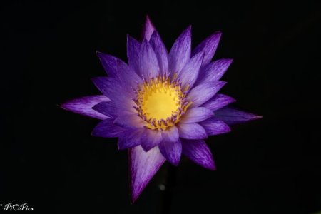 240131 JanPics-0017.jpg