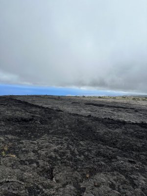 image6.jpeg